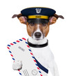 mail dog