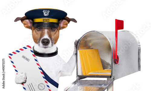 Photo: mail dog mail dog