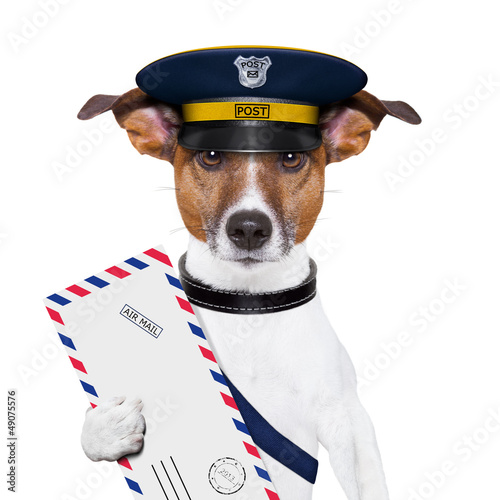 Photo: mail dog mail dog