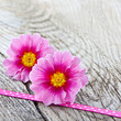Frühling