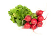 A bunch of fresh radishes isolated on white
