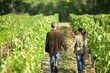 Couple walking in between rows of vines