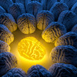 Illustration: The concept of a unique intelligence The concept of a unique intelligence