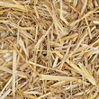 Photo: straw straw