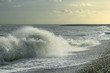 Photo: Windy seashore Windy seashore