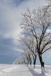Foto: Winterlandschaft Winterlandschaft