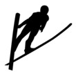 Skispringer