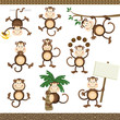 Monkey in varying positions