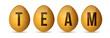 egg team concept