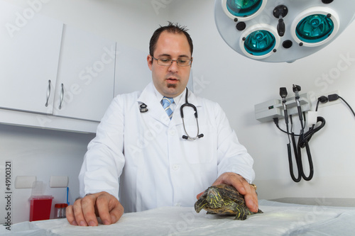 Photo: Turtle at veterinarian Turtle at veterinarian