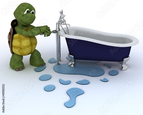 Illustration: tortoise plumbing contractor tortoise plumbing contractor