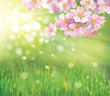 Vector of spring blossoming tree on green background.
