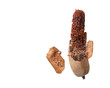 Rotten sweet tamarind isolated on white background