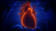 X-ray Heart in cation Loopable
