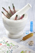 Médecine par les plantes - Symbole