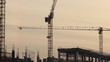 Lifting construction crane. construction site 