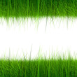 High resolution 3d green grass frame isolated on white