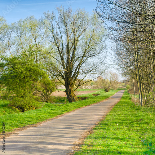 Photo: Radweg in sonniger Frühlingslandschaft, Frühlingsanfang Radweg in sonniger Frühlingslandschaft, Frühlingsanfang