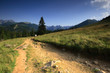 Tatry