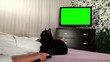 Video: Woman watches green screened TV Woman watches green screened TV