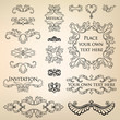 Calligraphic retro elements. Page decoration. Vintage Ornaments