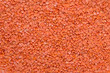 Photo: red lentil red lentil