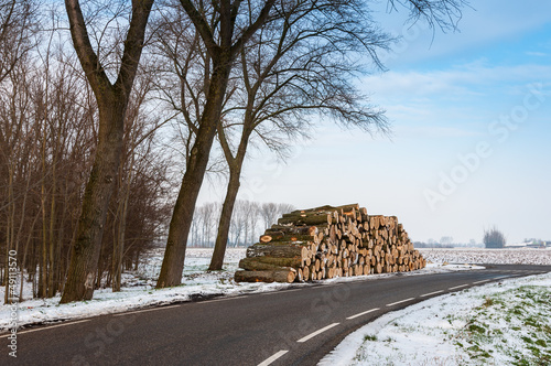 Photo: Stock pile sawed trees along the side of the road in winter Stock pile sawed trees along the side of the road in winter