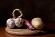 le basi in cucina