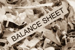 Papierschnitzel Balance Sheet