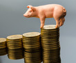 Schwein auf Münzstapel