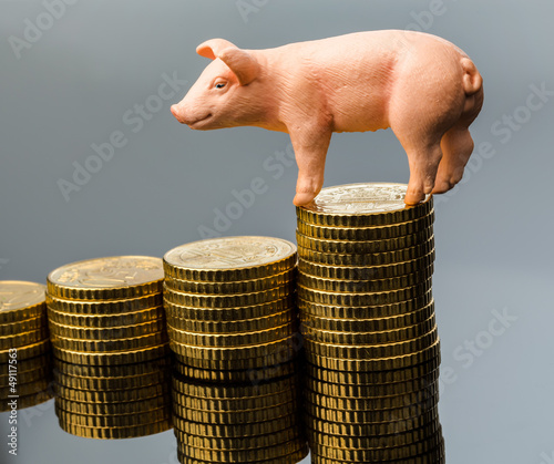 Photo: Schwein auf Münzstapel Schwein auf Münzstapel