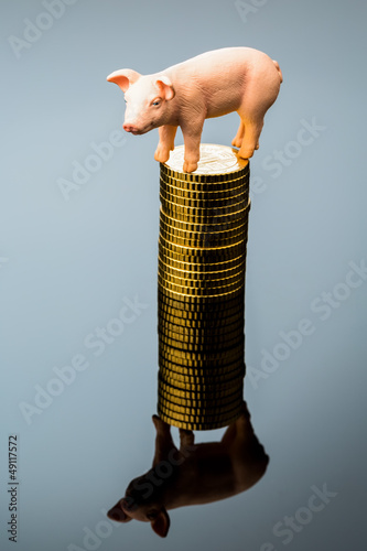 Photo: Schwein auf Münzstapel Schwein auf Münzstapel