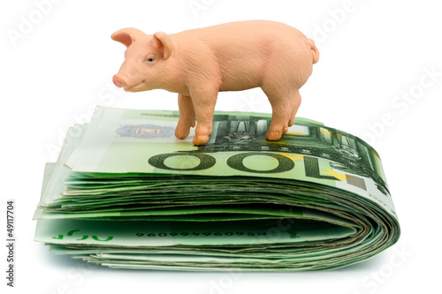 Photo: Schwein auf Eurogeld Banknoten Schwein auf Eurogeld Banknoten