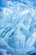 Forms of sea ice near the coast