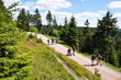 Wandern im Thüringer Wald