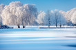 Winter trees