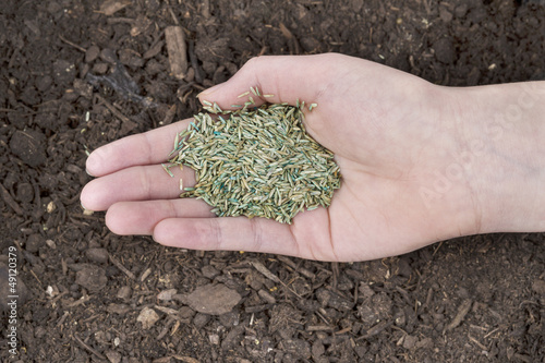 Photo: Planting New Grass Seed Planting New Grass Seed