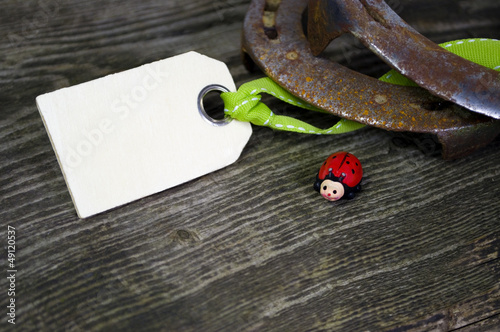 Photo: Holzanhänger mit Marienkäfer und Hufeisen Holzanhänger mit Marienkäfer und Hufeisen