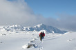 Winter walk in the mountains.