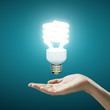 hand and  lamp
