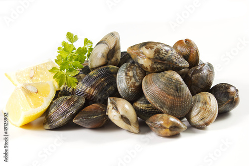 Photo: vongole veraci vongole veraci