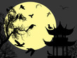 Birds on  night landscape