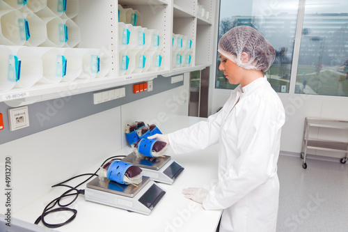 Photo: Untersuchung vom Spenderblut im Blutlabor Untersuchung vom Spenderblut im Blutlabor