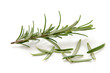 Rosmarin - Rosemary