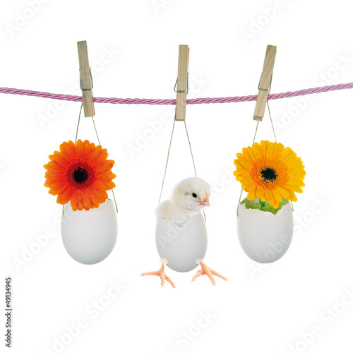 Photo: Frohe Ostern Wäscheleine Frohe Ostern Wäscheleine