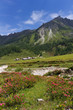 Urspungalm Schladming