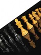 Schach, das königliche Spiel