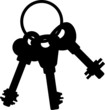 Ilustração vetorial : Bunch of keys Bunch of keys