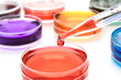 Pipette with drop of color liquid and petri dishes
