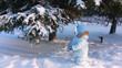 Video: Child shakes off snow trees Child shakes off snow trees